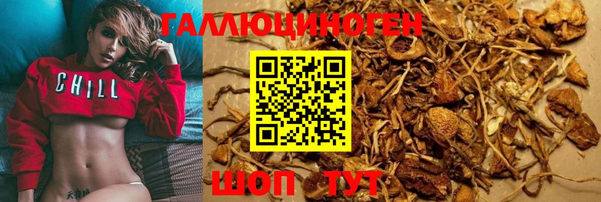 Галлюциногенные грибы мицелий Шарыпово